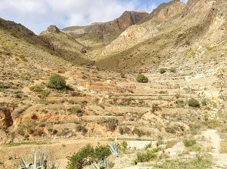 Cortijo El Molino Apartamento"El Balconcito" Nijar Bagian luar foto